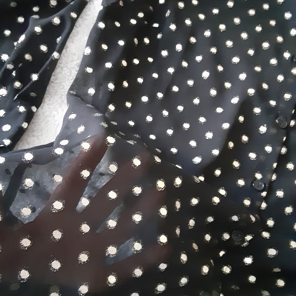 Sheer button down blouse - Picture 3 of 7